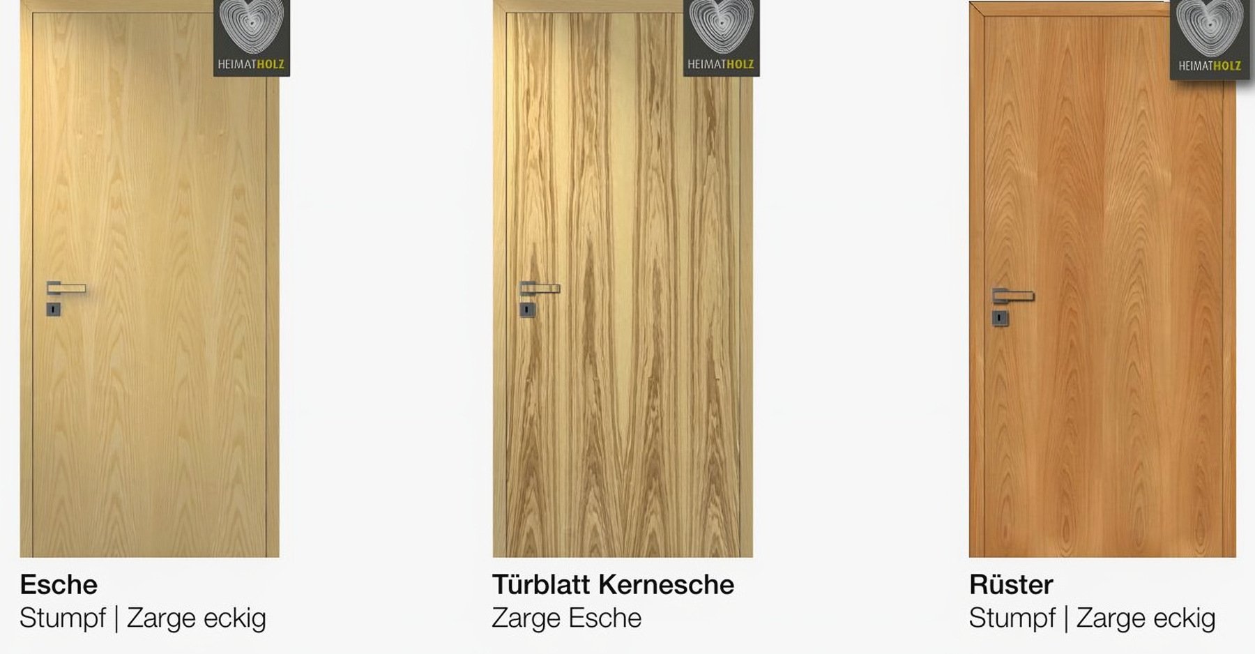 Esche, Kernesche, Rüster — furniruri Klassiker HGM
