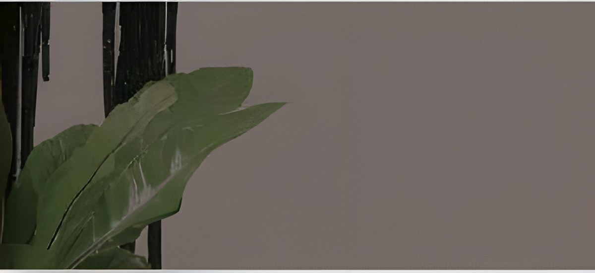 Float gri transparentă